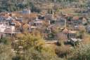 L.jpg